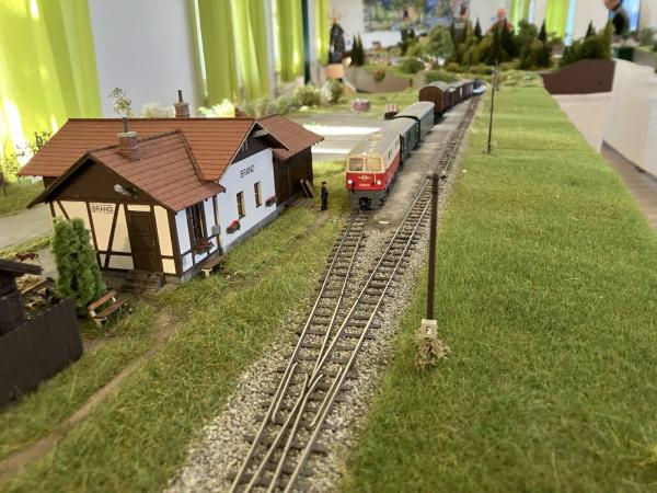 AVor013 Brand Litschau 2025 AVor IMG 6757